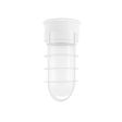 Flush Mount Guard Sconce, 200-White, WGG-Wire Guard, FST-Frosted Glass