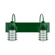 Static Ring LED Double Vanity Light, Gooseneck Mounting, 307-Emerald Green, FST-Frosted Glass