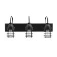 Static Ring Triple Vanity Light, Gooseneck Mounting, 100-Black, Nostalgic Edison-Style 1890 Era 40 Watt Light Bulb