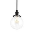 Bubble Stem Mount Pendant, 100-Black, Clear Globe