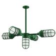 Apollo 5-Light Chandelier, 307-Emerald Green, CGG-Standard Cast Guard, FST-Frosted Glass