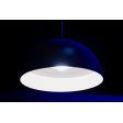 16” Loma LED, 705-Navy Exterior Finish, 200-White Interior Finish, SBK-Standard Black Cord, 2000 Lumen, 3000K Color Temp, Domed Lens | Photo Courtesy of Denver Museum of Natural Science and RLI Photography