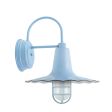 14" Seaside Wall Sconce, 765-Porcelain Delphite, CGG-Standard Cast Guard, FST-Frosted Glass