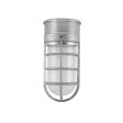 Flush Mount LED Guard Sconce, 975-Galvanized, CGG-Standard Cast Guard, FST-Frosted Glass