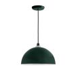 12" Loma, 300-Dark Green, SBK-Standard Black Cord