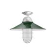 16" Syracuse, 350-Porcelain Vintage Green, Mounting in 975-Galvanized, WGG-Wire Guard, FST-Frosted Glass