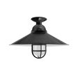 18" Syracuse, 100-Black, CGG-Standard Cast Guard, FST-Frosted Glass