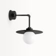 16" Cassidy LED Globe Gooseneck Light, 100-Black, Decorative Backing Plate & Hex Cover