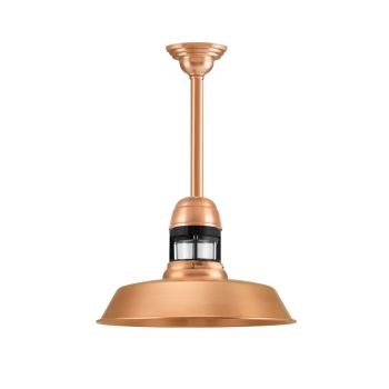 14" Sydney LED, 995-Natural Raw Copper, With Cap Option, Guard in 100-Black, CLR-Clear Glass, Decorative Canopy Cover