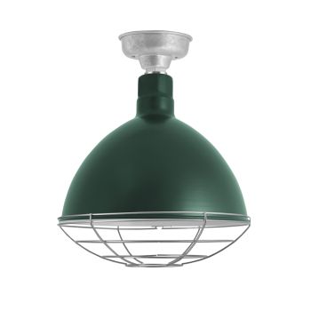 16" Wilcox LED, 300-Dark Green, Wire Cage, 975-Galvanized, Mounting in 975-Galvanized