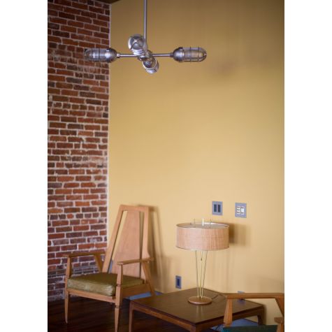Sputnik 4-Light Chandelier, 975-Galvanized, TGG-Heavy Duty Cast Guard, CLR-Clear Glass